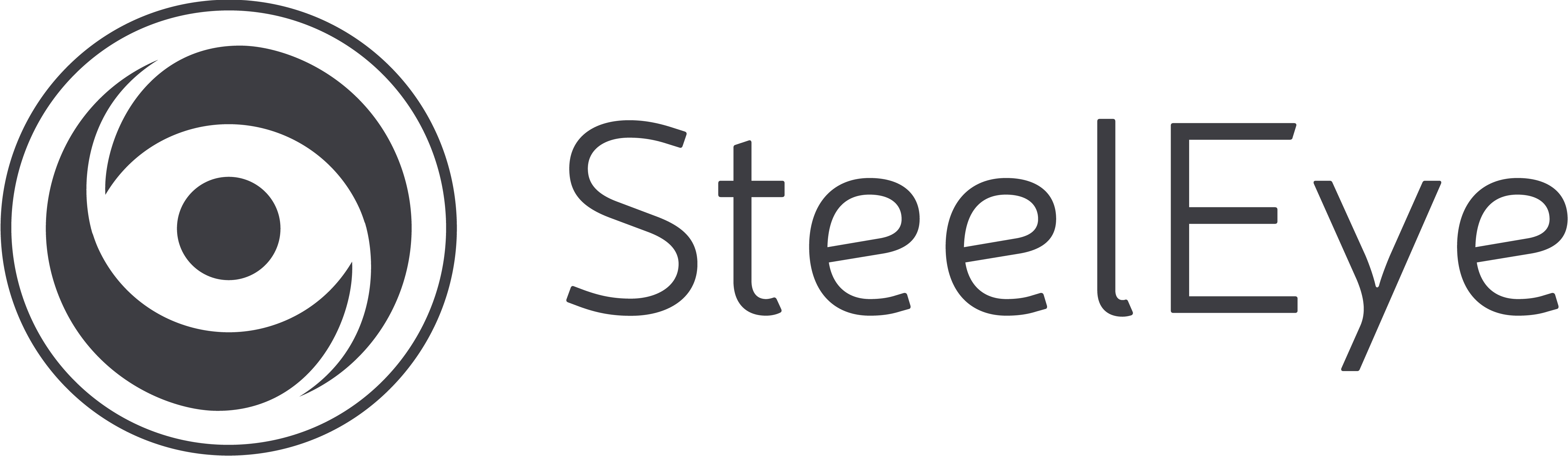 SteelEye LightBkg RGB Logo 1