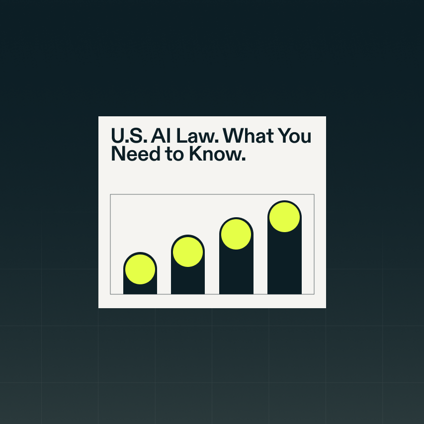 Resource Article U.S. AI Law 6 0