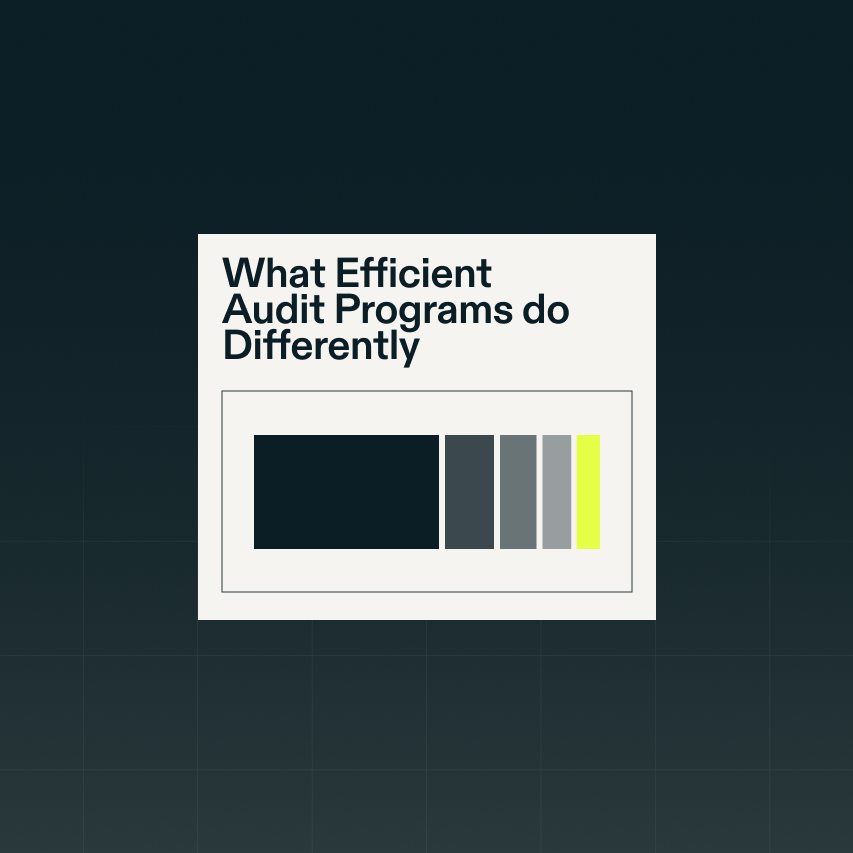Resource Article Efficient Audit Programs 1 0