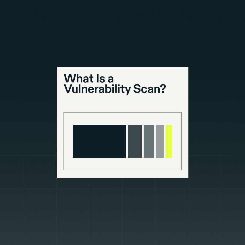 Resource Article What Is a Vulnerability Scan 1 0